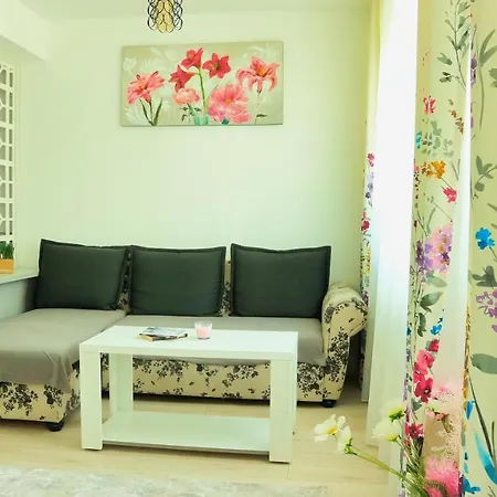 Cozy Flowers - Fast Wi-fi & Washer-dryer Brasov