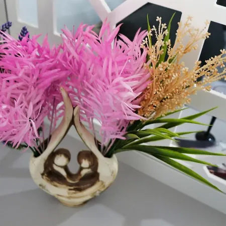 Apartment Cozy Flowers - Fast Wi-fi & Washer-dryer Brasov